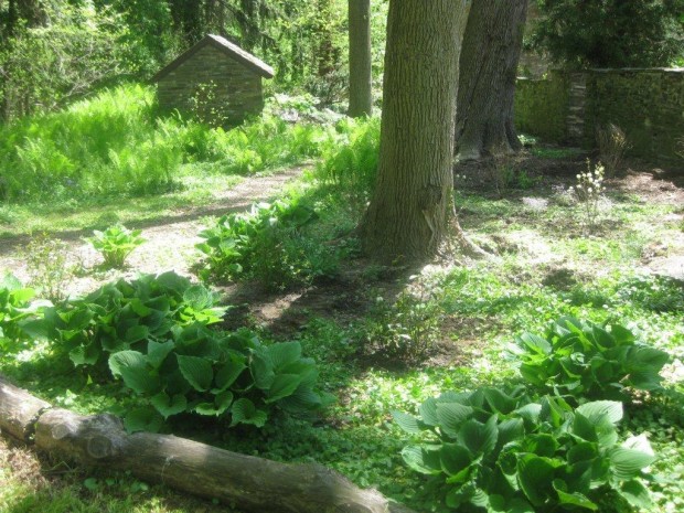 The new planting area