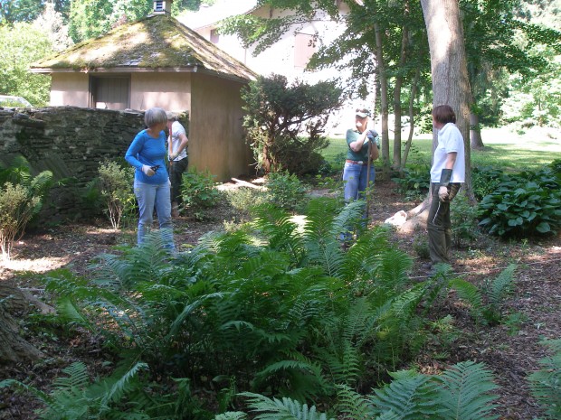 Transplanting