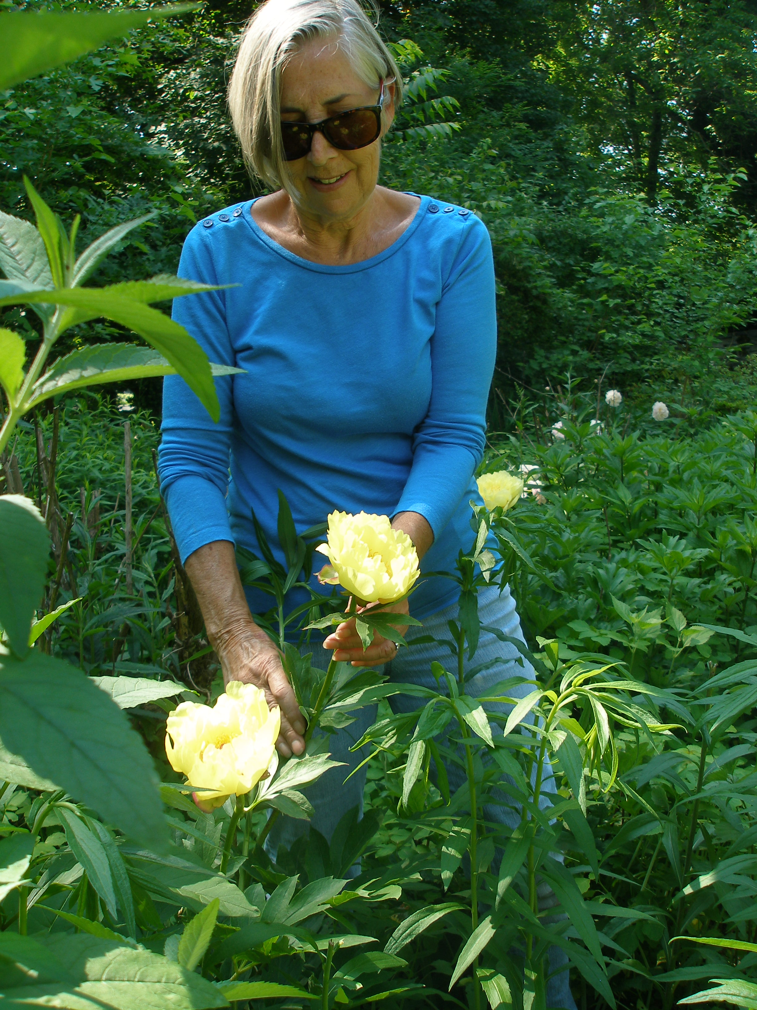 Michele found a gem in the pollinator garden