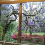 Connie'sPorch (1)