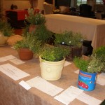 A Trio of Thyme