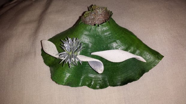 Haleakala Brooch, FS 2016