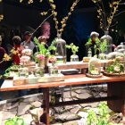 flower show 2013 cloches