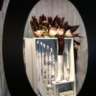 flowershow 2013 club