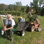 Cathy Gets a Lift