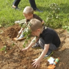 Twin Planters