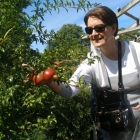 Betsy & Pomegranates at Wyck