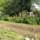 Farm at Wyck