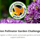 millionpollinator