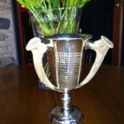 Award Trophy