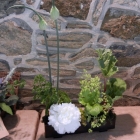 Arrangements