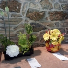 Arrangements