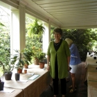Barb and Hort Enteries