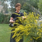 Betsy enjoying the Solidago