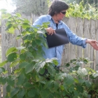 Ann, designer of Native Plant Garden