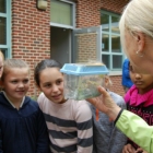 Pollinator Project Devon Elementary