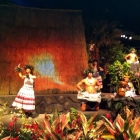 Hawaiian Dancers Flowershow