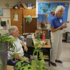 Outreach Pollinator Cricket Joan