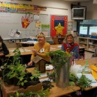 Outreach Pollinator Liz Cathy Lyn and Deb
