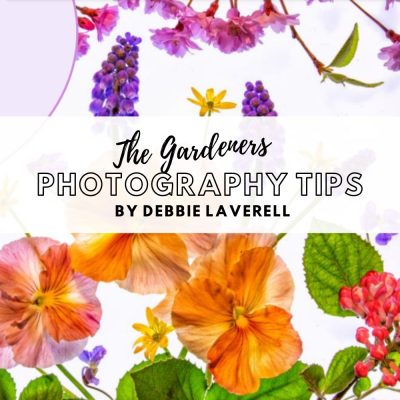 Photography Tips