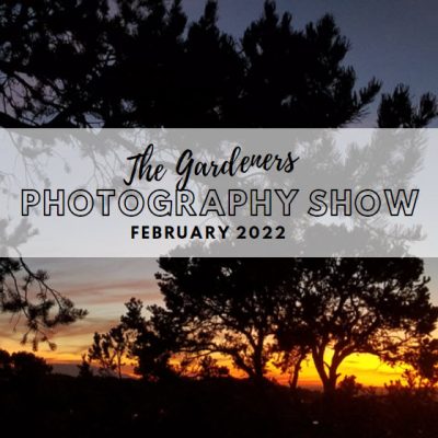 photographyshow