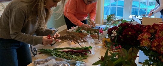 Photography and The Gardeners Flat Lay Workshop