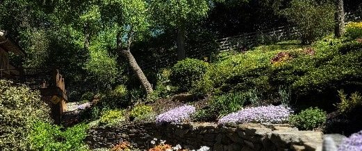 Protected: Jan Kennedy’s Garden