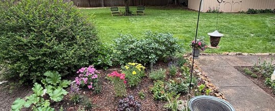 Protected: Holly Amsterdam’s Garden