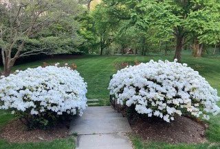 Protected: Joan Agran’s Garden