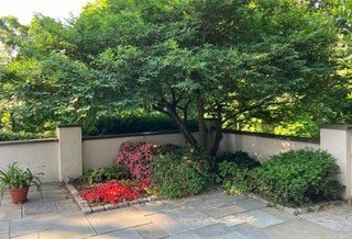 Protected: Libby Hill’s Garden