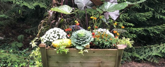Protected: Michele Jameson’s Garden