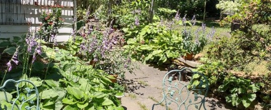Protected: Presley Schwinn’s Garden