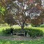 Protected: Cathy Decker’s Garden